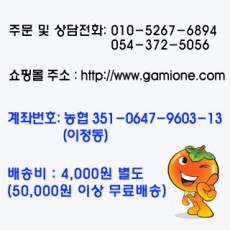 감이오네 안내사항